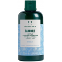 The Body Shop Gentle Eye Make-Up Remover, 250 ml The Body Shop Gentle Eye Make-Up Remover, 250 ml