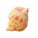 Lean Toys Mascot Plush Shell Pillow 50 x 40 cm