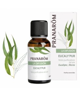 Pranarôm 5420008525414 ароматическая эссенция 30 ml CEDAR, Эвкалипт, Ментол, Мята, Перечная мята, Сосна, Ветивер Аромадиффузор