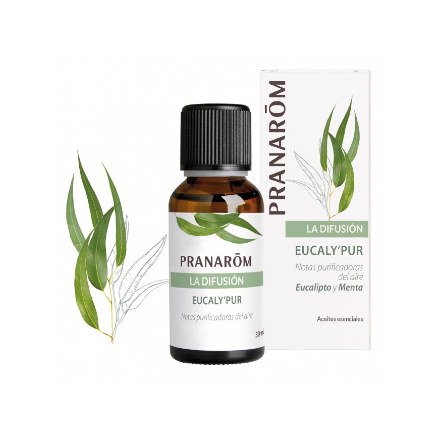 Pranarôm 5420008525414 aroma essence 30 ml CEDAR, Eucalyptus, Menthol, Mint, Peppermint, Pine, Vetiv