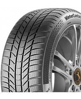Continental Tires WinterContact TS 870P 94 W XL ( CBB 71dB )