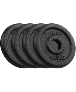 Set of cast iron weights 4x1.25kg, hole 31mm, classic plate, REBEL ACTIVE
