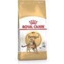 Royal Canin Bengal Adult kuivtoit kassile 10 kg Täiskasvanu Linnuliha, Aedvili Royal Canin Bengal Adult kuivtoit kassile 10 kg Täiskasvanu Linnuliha, Aedvili