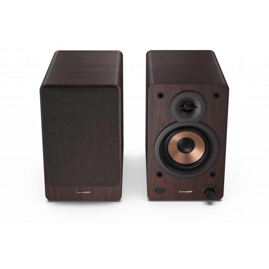 Sharp BOOKSHELF SPEAKERS 2-way Brown Wired & Wireless 60 W – 4