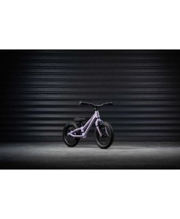EARLY RIDER Charger 12" children's bike, purple