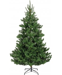 Enne Forest Jade aidonnäköinen joulukuusi, 210 cm