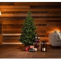 Enne Forest Jade real-looking Christmas tree, 210 cm Enne Forest Jade real-looking Christmas tree, 210 cm