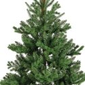 Enne Forest Jade aidonnäköinen joulukuusi, 210 cm