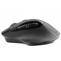 Tracer Cozy компьютерная мышь Офисная Для правой руки Беспроводной RF Оптический 1600 DPI