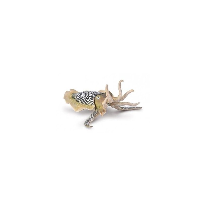COLLECTA Sea animal Common Cuttlefish (XL)