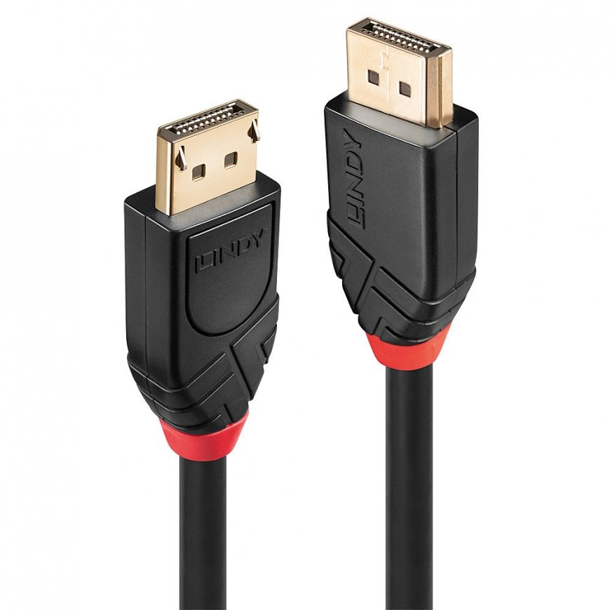 Lindy 41078 DisplayPort kabelis 10 m