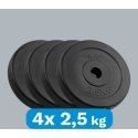 Bituminių svarelių rinkinys 4x2,5kg, skylė 31mm, klasikinė plokštė, REBEL ACTIVE Bituminių svarelių rinkinys 4x2,5kg, skylė 31mm, klasikinė plokštė, REBEL ACTIVE