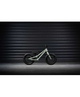 EARLY RIDER Charger 12" vaikiškas dviratukas, žalias