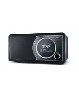 Sharp DR-450 Personal Digital Black, Stainless steel