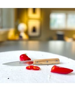 Paring knife 10cm