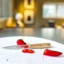 Paring knife 10cm