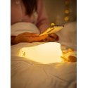 Duck lamp and phone holder, rechargeable, warm white and RGB Duck lamp and phone holder, rechargeable, warm white and RGB