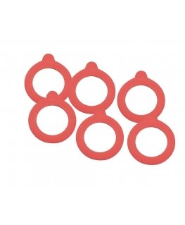 LEIFHEIT Replacement rubber rings 6pcs 43x71mm for sealed jars 1