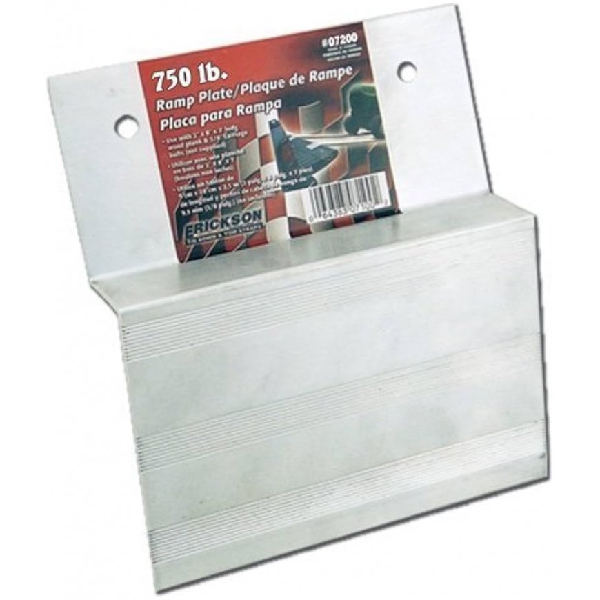 AD 3079 | 750 W | Number of plates 1 |