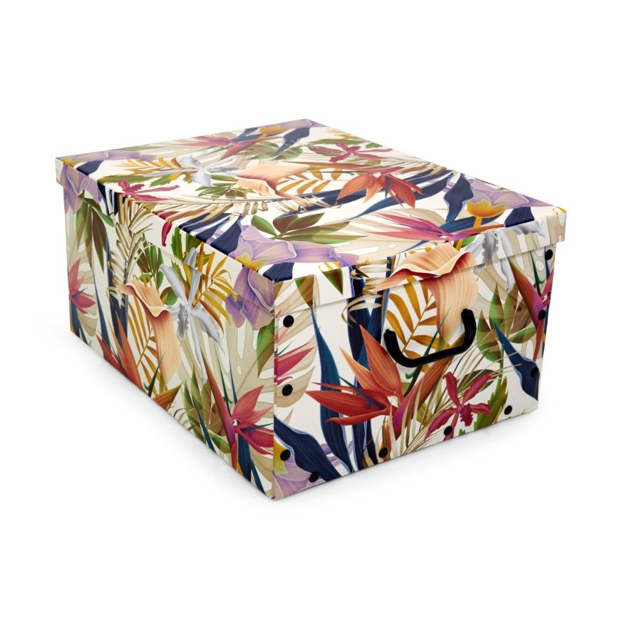 Cardboard box 49x39x25cm Big Box Solid Colour assorted, white|bl – 2