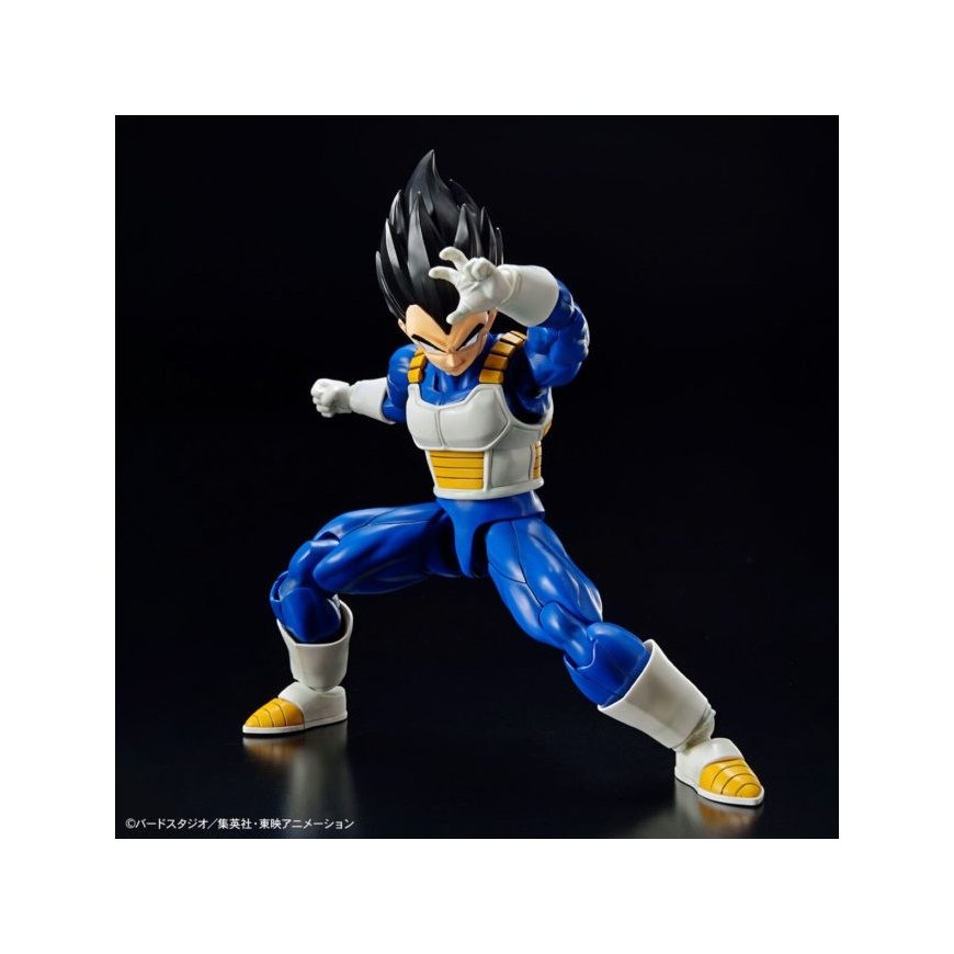 FIGURE RISE STANDARD DBZ VEGETA (NEW SPEC Ver.) – 5