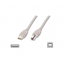 Logilink USB 2.0 connection cable USB A male, USB B male, 3 m, Black Logilink USB 2.0 connection cable USB A male, USB B male, 3 m, Black