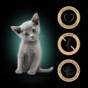SHEBA kaķēnu garšu izvēle mērcē - mitrā kaķu barība - 40x85 g SHEBA kaķēnu garšu izvēle mērcē - mitrā kaķu barība - 40x85 g