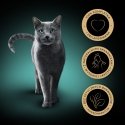 SHEBA gardums Drobiowe Smaki w galaretce - mokra karma dla kota - 40x85 g SHEBA gardums Drobiowe Smaki w galaretce - mokra karma dla kota - 40x85 g