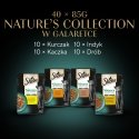 SHEBA Nature's Collection Mājputnu aromāti želejā - mitrā kaķu barība - 40 x 85g SHEBA Nature's Collection Mājputnu aromāti želejā - mitrā kaķu barība - 40 x 85g