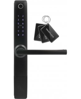 Handle with access controller EURA ELH-20H4