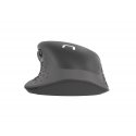 NATEC Falcon kompiuterio pelė Biuras Dešinės rankos „Bluetooth“ Optinis 3200 DPI NATEC Falcon kompiuterio pelė Biuras Dešinės rankos „Bluetooth“ Optinis 3200 DPI