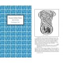 Magic Leaves Colour Washing Plates 25 pcs. Magic Leaves Colour Washing Plates 25 pcs.