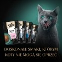 SHEBA Sauce Collection Kalamaitsete kollektsioon - kassi märgtoit - 40x85 g SHEBA Sauce Collection Kalamaitsete kollektsioon - kassi märgtoit - 40x85 g