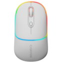 CANYON mouse MW-22 2in1 BT/ Wireless Snow CANYON mouse MW-22 2in1 BT/ Wireless Snow