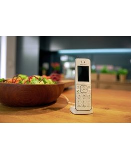 FRITZ!Fon C6 Digitaalse juhtmeta tehnoloogia (DECT) telefon Helistaja ID Valge