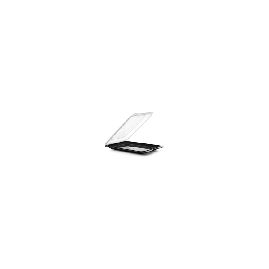 Food storage container for cold cut products Fresh 17x25,2x3,2cm – 2