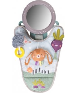 Taf Toys Urban Garden In Car Activity Center