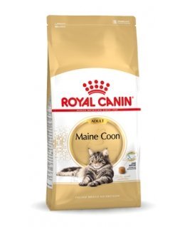 Royal Canin Maine Coon Adult cats dry food 10 kg