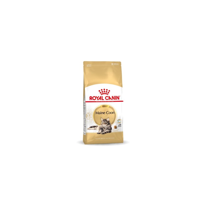 Royal Canin Maine Coon Adult kuivtoit kassile 10 kg Täiskasvanu