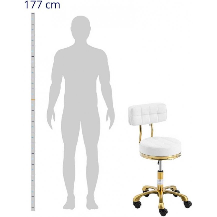 Physa Stool, cosmetic stool with backrest on wheels, up to 150 kg GELA, white and gold – 3