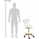 Physa Taburetė, kosmetinė taburetė su atlošu ant ratukų, iki 150 kg GELA, balta ir auksinė Physa Taburetė, kosmetinė taburetė su atlošu ant ratukų, iki 150 kg GELA, balta ir auksinė