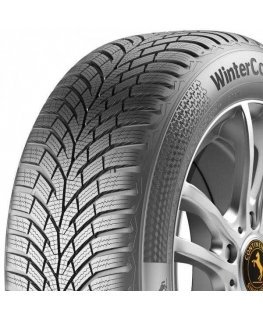 Continental Padangos WinterContact TS 870 91 H ( C B B 70dB )