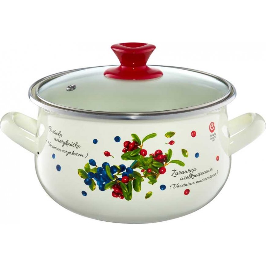 Enamel pot Borówka 4.2 l ENAMEL OLKUSZ