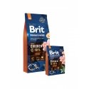 Brit 8595602526673 koiran kuivamuona 15 kg Aikuinen Kana Brit 8595602526673 koiran kuivamuona 15 kg Aikuinen Kana