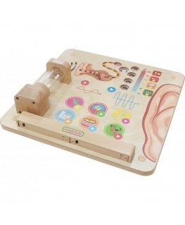 MASTERKIDZ educational auditory and sensory game