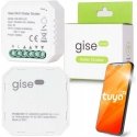 GISE Smart WiFi Roller Blind Controller | Tuya