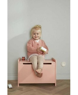 Kid's Concept - Set of toy cars (3 pcs) | Multicolor (AIDEN)