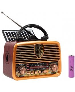 AM/FM BT BLOW RA10 nešiojamasis saulės analoginis radijas