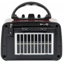 AM/FM BT BLOW RA10 Portable Solar Analog Radio AM/FM BT BLOW RA10 Portable Solar Analog Radio