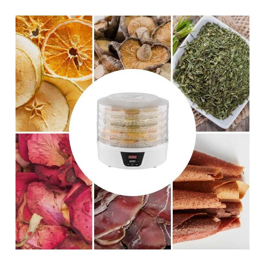 TZS First Austria Food Dehydrator, 380W Max, 5 Round Layer, Digital Timer+Temp FA-5126-8 – 5